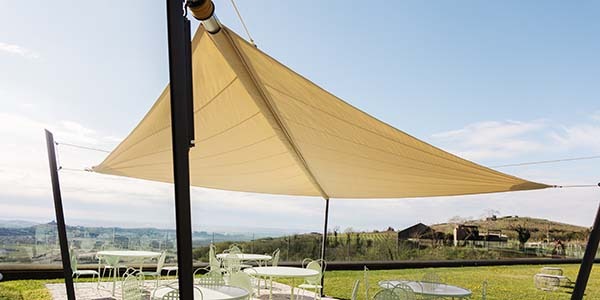 Zefira voor Tenuta Le Cave: waar traditie en innovatie samenkomen